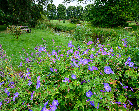 Ire_DSC2737