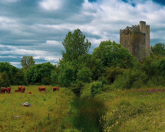 Ire_DSC3118-Edit