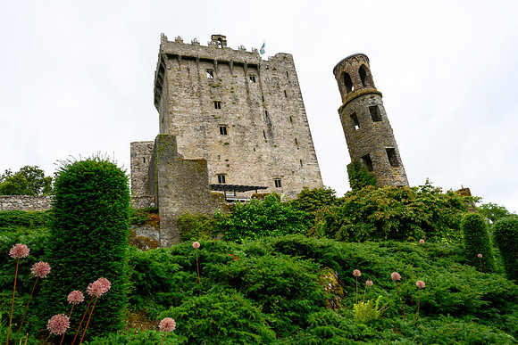 IRE__DSC2704
